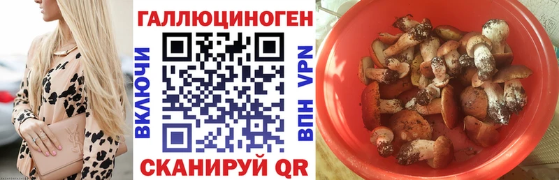 Галлюциногенные грибы ЛСД  hydra   Октябрьский 